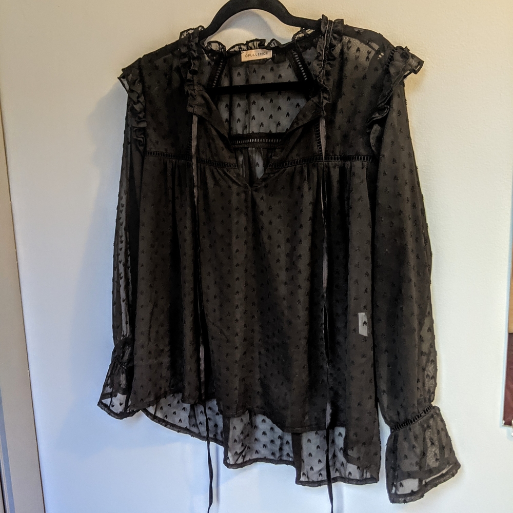 Romantic Sheer Black Ruffled Tie Front Blouse